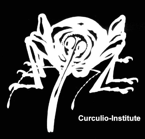 Weevil Logo of the Curculio Institute
